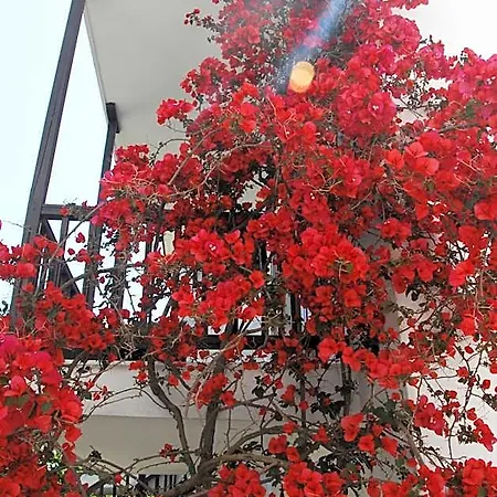 Anofli 公寓式酒店 4*