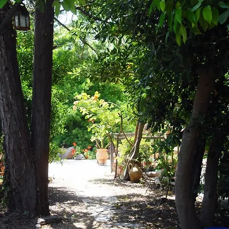 Anofli スコペロス