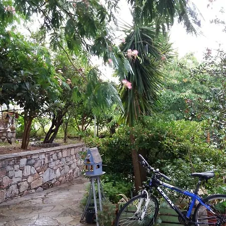 Anofli