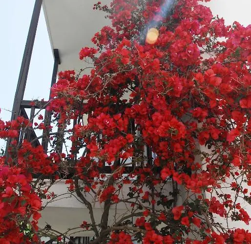 Anofli 4* Skopelos Town